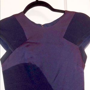 Bcbg Maxazria Runway mixedmedia architecture dress